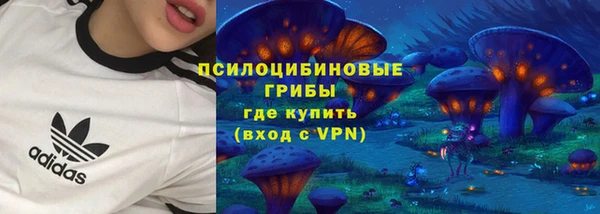 PSILOCYBIN Алзамай