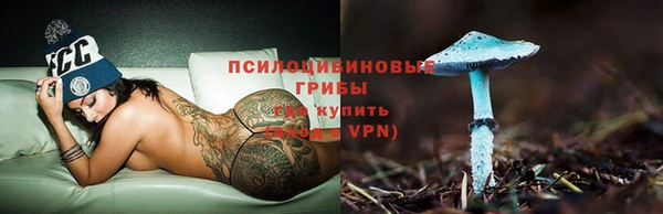 гидропоника Липки