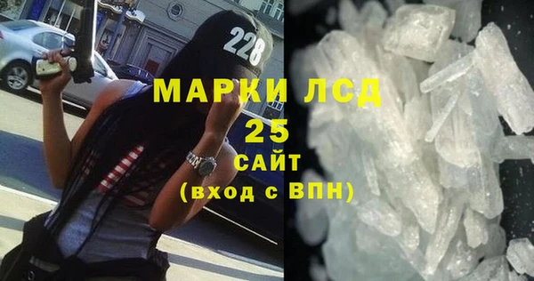 PSILOCYBIN Алзамай