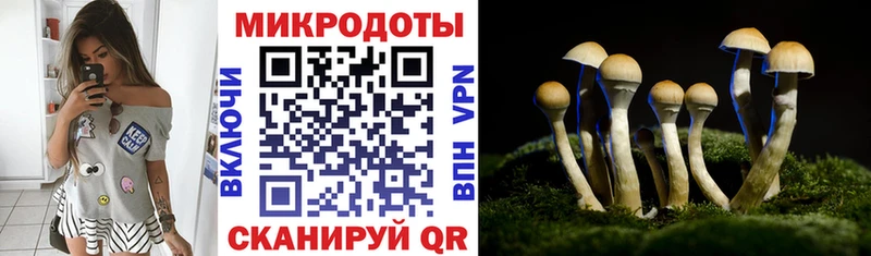 это наркотические препараты  Нижний Новгород  Псилоцибиновые грибы MAGIC MUSHROOMS 