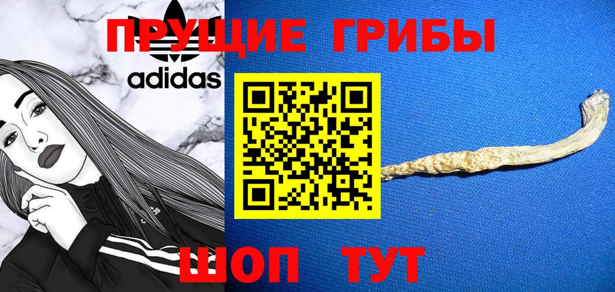 Нижний Новгород  Псилоцибиновые грибы Psilocybe  Вход с VPN  Галлюциногенные грибы Magic Shrooms 
