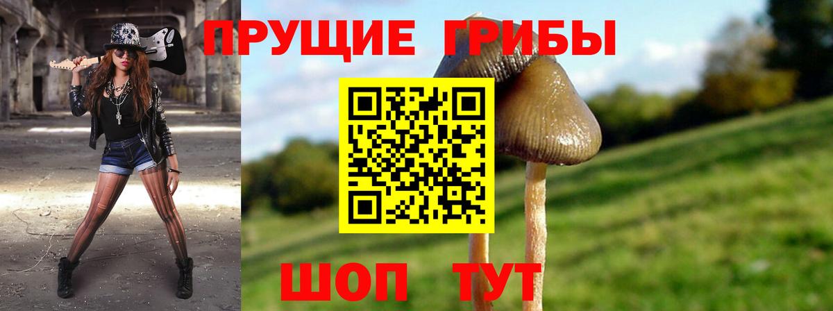 Псилоцибиновые грибы Magic Shrooms Нижний Новгород