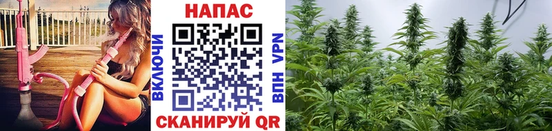 МАРИХУАНА индика Нижний Новгород
