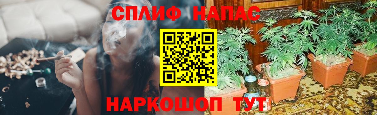 Бошки марихуана гибрид  Шишки марихуана Bruce Banner  Шишки марихуана индика  Нижний Новгород  Вход с VPN 